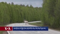 འཛམ་གླིང་ནང་བདེ་སྐྱིད་ཀྱི་ཚད་གཞི་མཐོ་ཤོས་ཡིན་པ་ཕིན་ལེནཏ་ཡི་རྒྱལ་ཁབ།