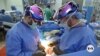 NYU Surgeon Seeks to Aid Global Organ Shortage with Animal Transplants