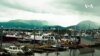 Nature | Kachemak Bay
