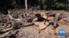 Kenyan Activists Seek Climate Change Protections Amid Record Drought, Flooding 