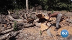 Kenyan Activists Seek Climate Change Protections Amid Record Drought, Flooding 