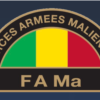Brigadier General Moussa Yoro Kante