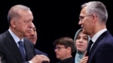 Sekreterê Giştî yê NATO Jens Stoltenberg û Serokê Tirkîyê Rcep Tayîp Erdogan (Arşîv)