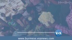 သီးနှံဈေး ကျဆင်းမှုတွေကြောင့် တောင်သူတွေအခက်ကြုံ
