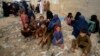UN Urges Halt to Pakistan’s Forcible Returns of Afghan Migrants 