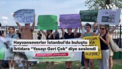 Hayvanseverler iktidara İstanbul’dan çağrı yaptı: “Katliam yasasını geri çek”