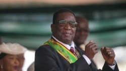Udaba Esilwwethulelwe NguMlondolozi Ndlovu