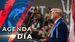 Donald Trump comparece ante la corte de apelaciones en Washington