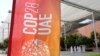 As COP28 Gets Underway, Scientists Warn of Irreversible, Catastrophic Climate Change 