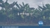 မြန်မာနဲ့ တစ်သျှူးငှက်ပျော  