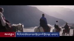 བོད་མི་ཁག་གཅིག་ནས་འཁྲབ་སྟོན་བྱས་པའི་གློག་བརྙན་ ཤམ་བྷ་ལ།