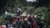 Bavandi baike ya Bambo na territoire ya Rutshuru, na 60 kms na Goma, bazali kokima bitumba ya batomboki ba M23 kati na nzamba, Nord-Kivu, 26 sanza ya zomi 2023.