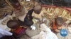 Inside Global Efforts to Help Drought-Hit Communities in Northern Kenya 