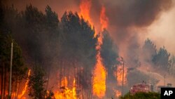 Požar u Francuskoj (Foto: SDIS 33 via AP)