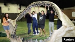 FILE - Workers move a jaw reconstruction of a Charcharodon megalodon in New York on June 21, 2004, in preparation for an auction of dinosaurs and other prehistoric creatures.