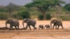 Inyamazana Zendle Zithwalise Nzima Abantu eHwange