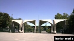 دانشگاه تهران. آرشیو