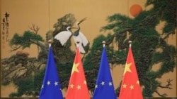 歐盟在世貿升級對華法律行動，要求就專利保護和立陶宛問題設立專家裁決小組