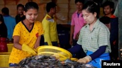 ထိုင်းရောက် မြန်မာရွှေ့ပြောင်းအလုပ်သမားများ 