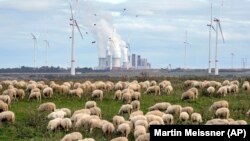 Climate Emissions