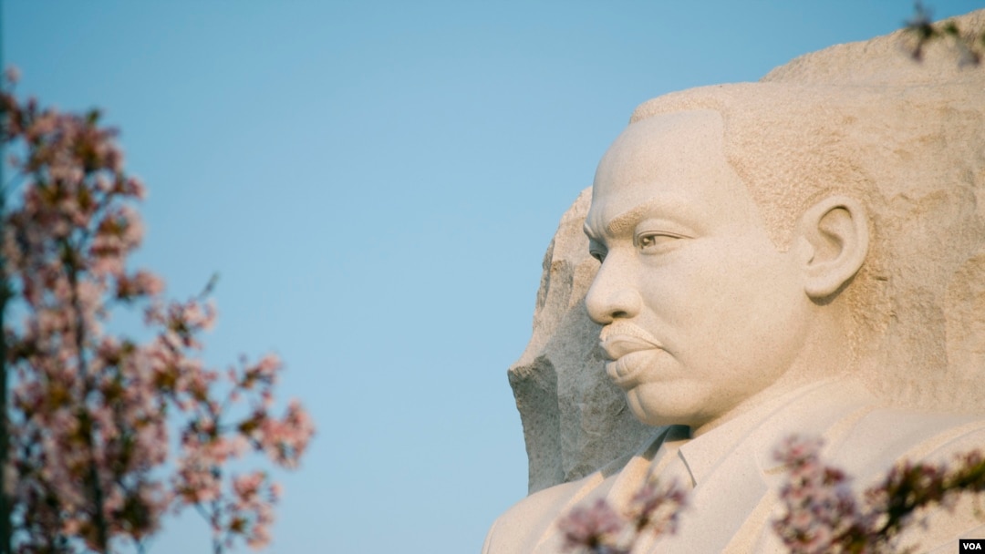 Cherry blossoms in full bloom frame the Martin Luther King Jr. Memorial along the Tidal Basin in Washington, DC, April 13, 2014. (Elizabeth Pfotzer/VOA)