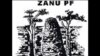2013 Primary Elections Scaring Zimbabwean Politicians