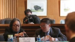 “中國抗愛滋第一人”高耀潔在美國紐約去世