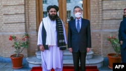 وانگ یی، وزیر امور خارجه چین با امیرخان متقی، سرپرست وزارت امور خارجه دولت موقت طالبان افغانستان، در کابل - ۲۴ مارس ۲۰۲۲