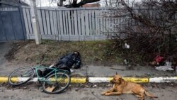 俄軍被指在基輔郊外犯下戰爭罪 國際社會憤怒