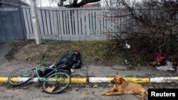 在俄軍撤出後，烏克蘭首都郊外布查鎮的大街上可以看到一些被遺棄的平民屍體。 （路透社2022年4月3日）