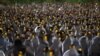 Sekitar 2.000 Penguin Mati Terdampar di Pantai Uruguay