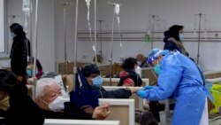 輝瑞藥未入醫保國產藥遙遙無期中國新冠患者一藥難求的困境