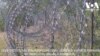 16x9 Image