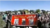 اعتراض به آزار و کشتار سگ‌های بی سرپرست در تبریز؛ شهرداری می‌گوید با پیمانکار برخورد خواهد شد