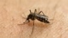 Zika e crise politica dominam abertura do ano legislativo no Brasil 