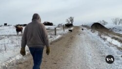 Federal funding freeze impacts vital agriculture sector in Wisconsin
