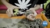Who Will Win in Thailand’s Weed Wonderland?
