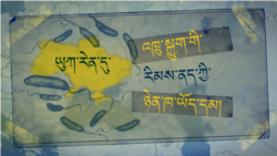 ཡུཀ་རེན་དུ་འཁྲུ་སྐྱུག་གི་རིམས་ནད་ཀྱི་ཉེན་ཁ།