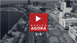 África Agora: Conflitos de terra - noção de Estado "é mal entendida"