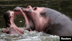 Foto de arquivo