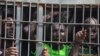 Nigeria launches 'Human Rights Defenders' forum