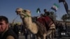 Refugees return to Aleppo, Syria’s second city