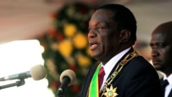 Ingxoxo Esiyenze loMnu. Effie Dlela Ncube
