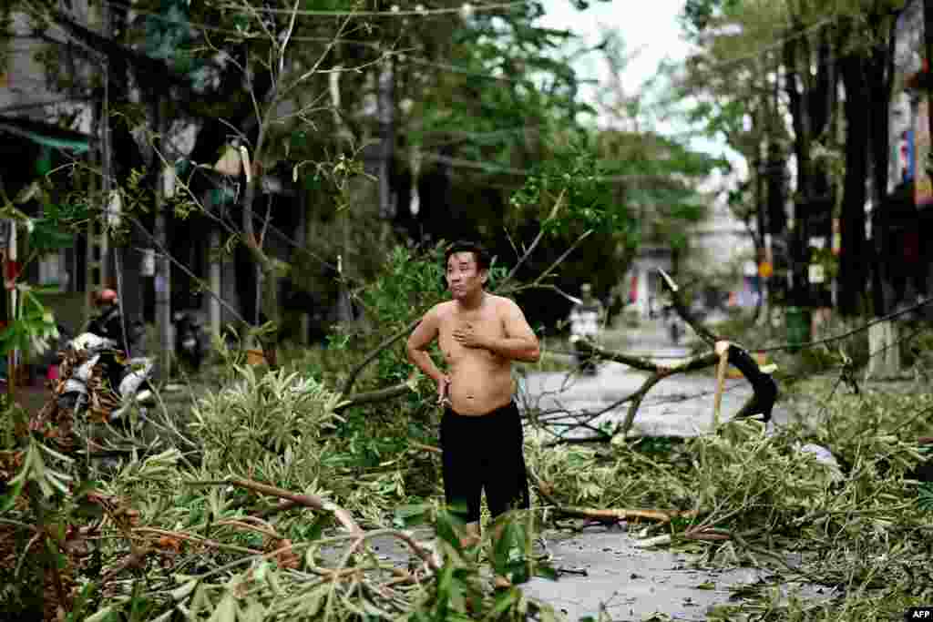 A man reacts while standing amidst uprooted trees in central Vietnam's Quang Ngai province, in the aftermath of Typhoon Molave.