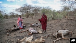 Prejuízos económicos climáticos
