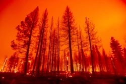 California Wildfires