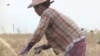 စစ်မှုထမ်းဥပဒေ လက်ကျန်တောင်သူဦးကြီးများပါ ရိုက်ခတ်