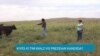 Pwofil: Kandida Vis Prezidansyèl Demokrat Tim Walz Grandi nan Zòn Riral eta Nebraska 