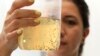 Special Mosquitoes Being Bred to Fight Dengue