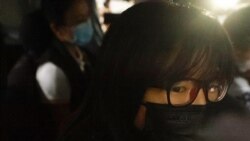 英國抨擊港府的逮捕行為是利用國安法壓制異議